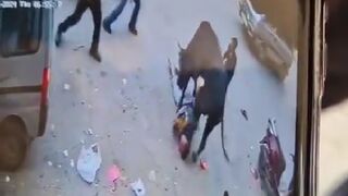 (New) Escaped Bull Gores and Stomps Man to Death in the Street (See Info)