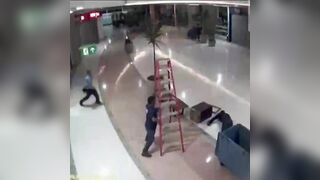 Worker at Top of Ladder loses his Balance was paralyzed from the Fall