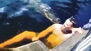 Swimming with Florida Gators