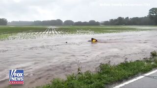 fire captain in Indiana jumped into rushing floodwaters midrescue to save a baby deer