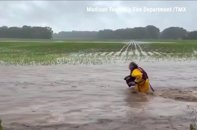 fire captain in Indiana jumped into rushing floodwaters midrescue to save a baby deer
