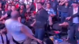 Brawl in the Crowd of UFC Fight Night features Knock Out Artist who Should be in the UFC