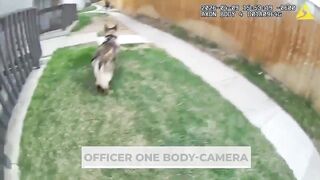 Suspect Stabs Colorado Officer Before Being Fatally Shot