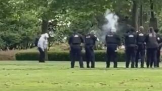 Police shoot fatal stabbing suspect in Holland Park, Surrey, BC