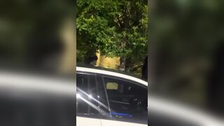 Good Samaritans Rescue Lady From Abusive Boyfriend