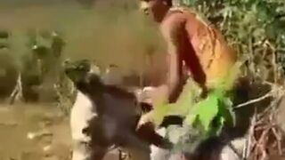 Kid Fuc*s with a Donkey and gets Donkey Justice Instantly