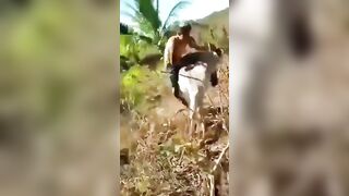 Kid Fuc*s with a Donkey and gets Donkey Justice Instantly