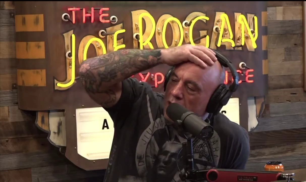 Joe Rogan reacts to Kim Dotcom’s tweet alleging that Peter Thiel and Alex Karp conduc