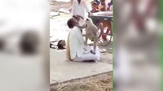 Monkey rips off part of man's scalp
