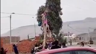 Yes..there are People (and Kids) up in this Decorated Tree...Watch What Happens