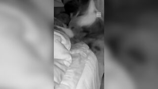 Sleeping man gets a surprise from his dog