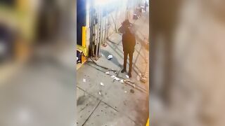 Evidence: Man makes Sure Homeless Man is Sleeping before he Shoots Him for No Reason
