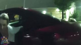 A college premed student is pulled over in Tampa for driving erratically.