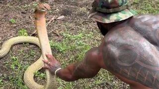 The snake just stood up and squared up to the dude! Balls of Steel!