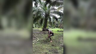 The snake just stood up and squared up to the dude! Balls of Steel!