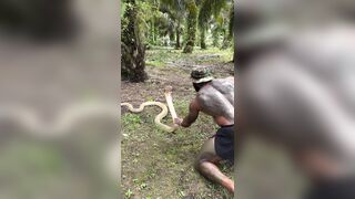 The snake just stood up and squared up to the dude! Balls of Steel!