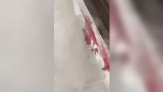 Man Casually Walking too Close to Train becomes a Blood Stain on the Concrete