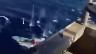 Giant Ship Fights for it's Life against Pirates...Ship has a Much Bigger Gun