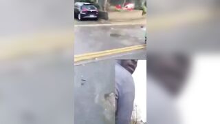 Brave Hero Woman Stops Invader From Kidnapping a Little Girl