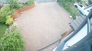 CCTV shows moment masked suspect firebombs Imam's house in UK