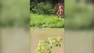 Indonesia: Dead Man Fishing: Hysterical People watch Croc Caught in Net. Eats Every piece of the Man (Watch Both Angles)