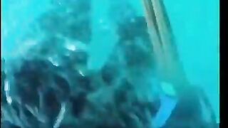 Diver Taunts a Shark and Loses Half of His Diving Suit and More