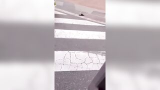 Dramatic Arrest In Spain