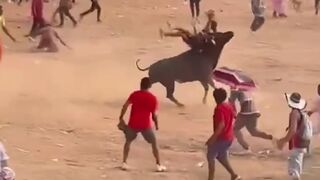 NEW: Bulls Kills 2. Captured Bull vs. Not One..but the Entire Rodeo (See info)