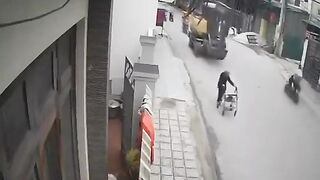 Shock Video shows Elderly Woman with a Walker...they Never Saw Her