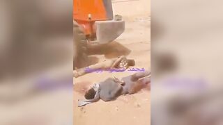 Christian Genocide in Sudan continues..with No Media Coverage (See Info)