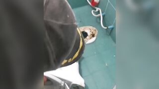 Fear Trigger: 12 Foot Python found in Toilet is Impossible to Remove