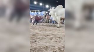 This is How Fast a Smart Bull can Kill a Man