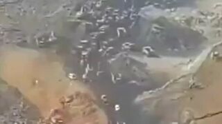 Coal Mine Collapse in China that Killed 53 People..Classic