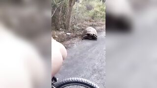 Big Tortoise thinks her Big Booty is a Predator