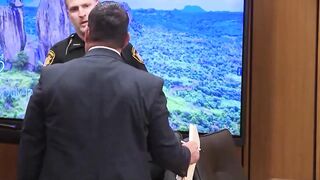 Ohio teacher breaks down in tears and panics in court after being sentenced to one we