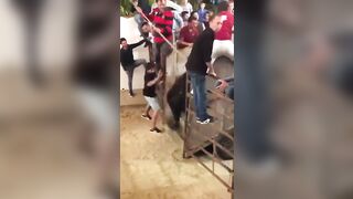 Kid just Tryin to Help out getting the Bull back Inside
