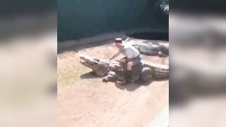 Zookeeper gets his Manhood taken Away by Giant Crocodile..