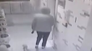 (Happy Ending) Little Dog's Life Hangs in the Balance as Owner takes the Elevator and a Hero shows Up