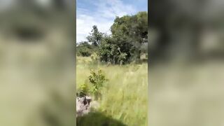 Elephant Upends the Whole Safari Truck...Watch How Fast he gets Caught Up to Them