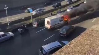 On a Motorway in France..How, Why and Are they Alive?