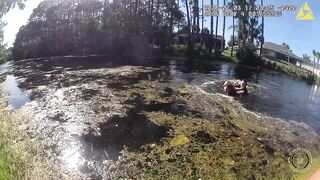 Florida man attacks deputies during water rescue in alligator-infested canal