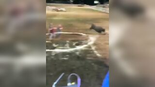 She wanted to Play with the Bull and Ended up Stopping the Whole Event