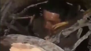 New Video shows 2 Hitmen from Los Pelones, Sinaloa Cartel are Captured. One is Cooked Alive in a Human Bonfire..Watch Full Video Ending is Brutal