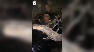 New Video shows 2 Hitmen from Los Pelones, Sinaloa Cartel are Captured. One is Cooked Alive in a Human Bonfire..Watch Full Video Ending is Brutal