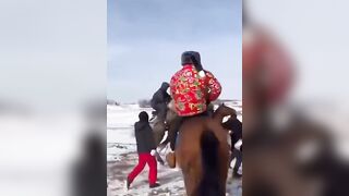 When the Horses want to Play, you Better Get Away..