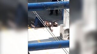 FULL Video: Woman Burned Alive by her Ex is Still Suffering at Train Station. He left her there to Die. Shows Aftermath (See Info)