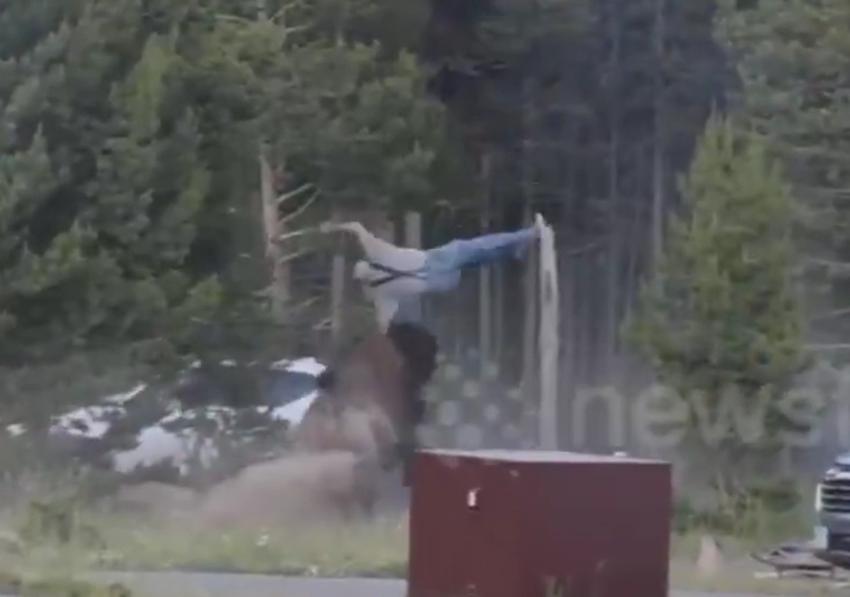 Ha! Bison tosses tourist Flying in Yellowstone, Don't Mess with Wildlife!