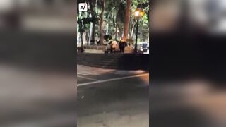 Outrage in Medellín, Colombia: Couple carries out Hardcore Sex Act in the Middle of a Park (See Info)