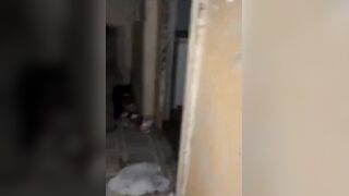 Video shows Ohio home where 16 children were rescued