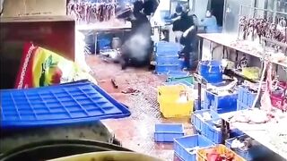 Awesome Video of Bull getting Violent Revenge when He Escapes in a Slaughterhouse